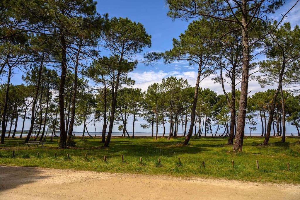 Appartement Des Grands Lacs ซองกีเนต์ ภายนอก รูปภาพ