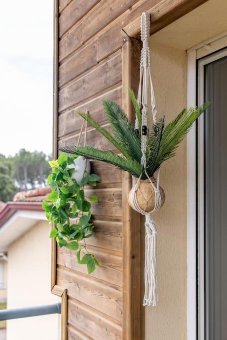 Appartement Des Grands Lacs ซองกีเนต์ ภายนอก รูปภาพ